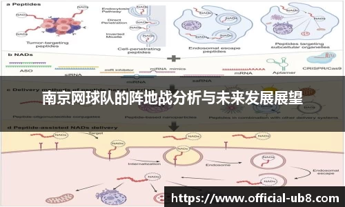 南京网球队的阵地战分析与未来发展展望